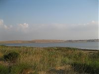 Берег лимана. Место жительства миллионов насекомых.