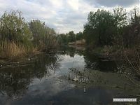 Первый выезд в году.