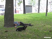 Собака, охраняющая бомжа. Типичный питерский пейзаж. Собака, охраняющая бомжа. Типичный питерский пейзаж.